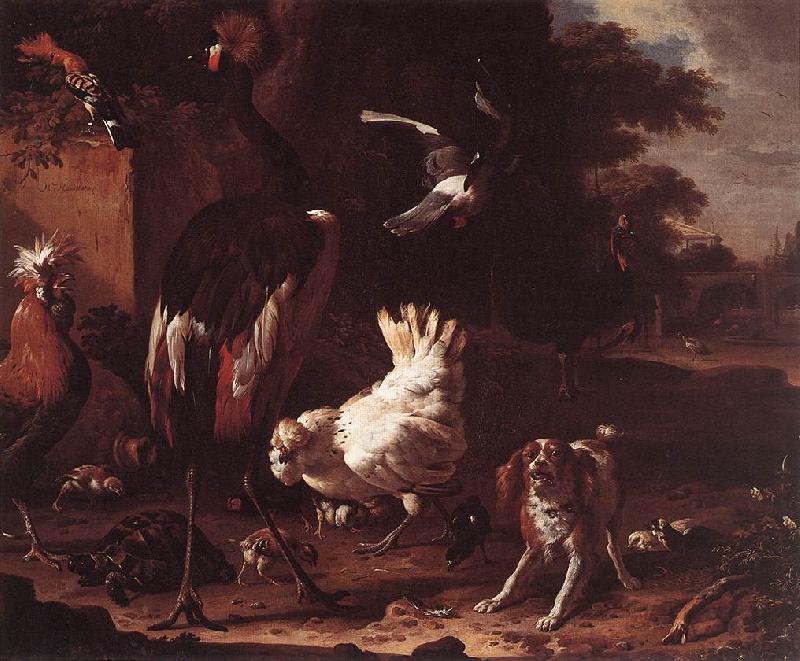 HONDECOETER, Melchior d Birds and a Spaniel in a Garden sf oil painting image